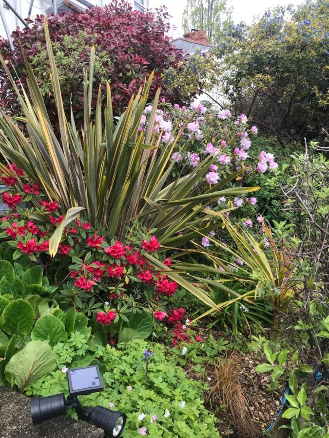 1920'S House. Private En Suite Sitting Room . Dog Friendly Teignmouth Exterior foto